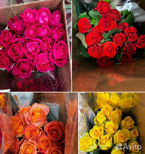 Цветы Розы Оптом
