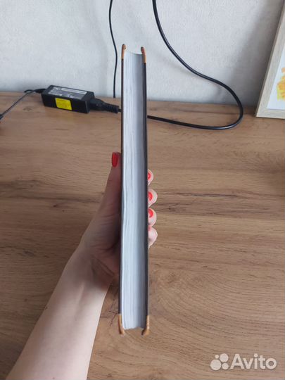 Коты воители Лес секретов