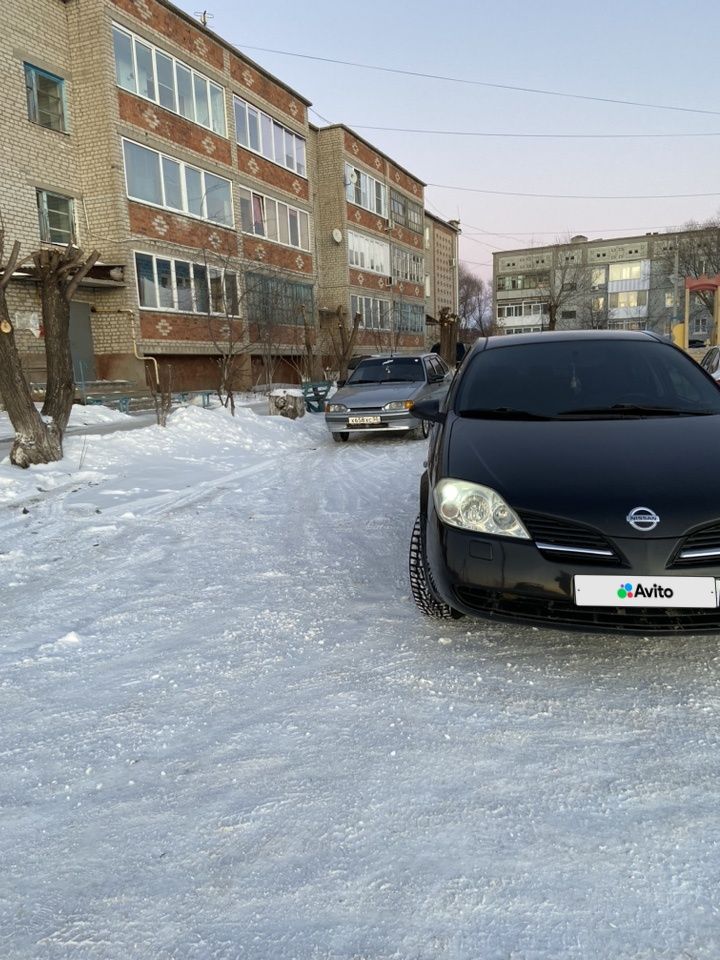 Nissan Primera: фото владельца