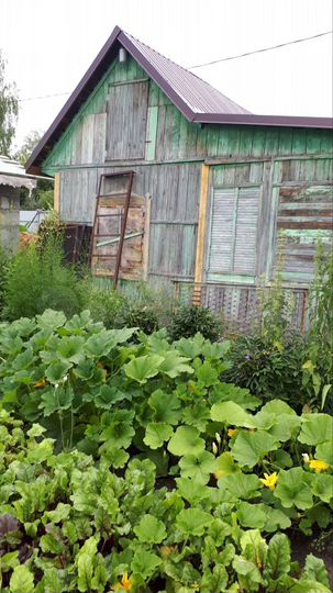 Дом 50 м² на участке 3,5 сот.