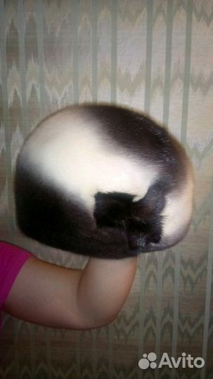 Шапка