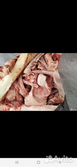 Мясо обрези для собак