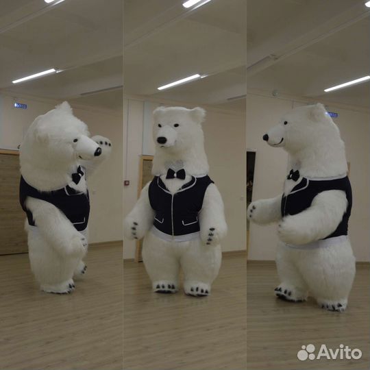 Шоу белого медведя,Самый впечатляющий персонаж