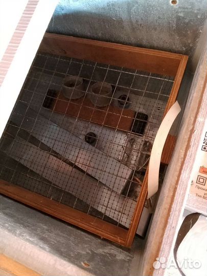 Инкубатор Блиц 48