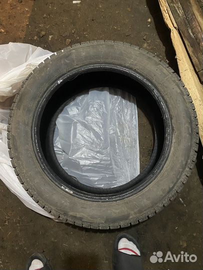 Pirelli Ice Zero 2.25/50 R17 98