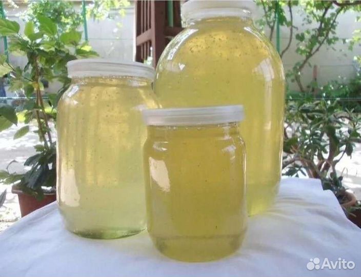 Настоящий мёд с бесплатной доставкой. Цена за 3л