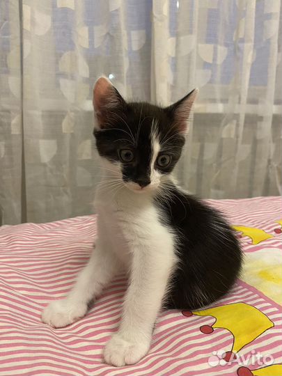 Европейская