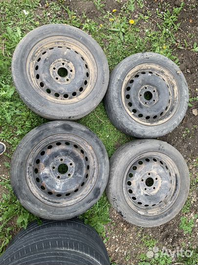 Continental PremiumContact 6 205/55 R16 91T