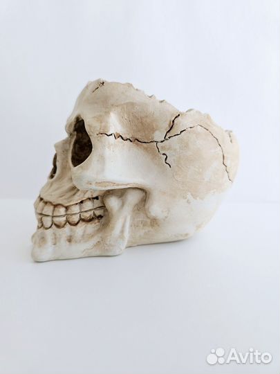 Кашпо череп