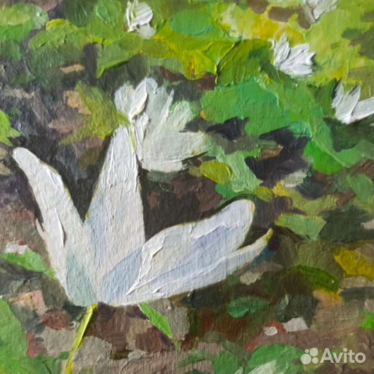 Миниатюрная картина с цветами маслом на картоне