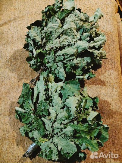 Веник для бани