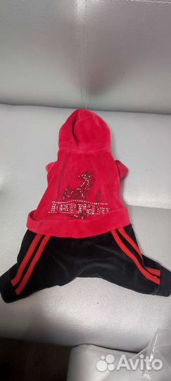 Одежда для маленьких собак