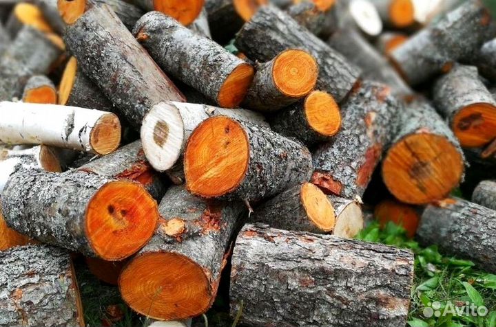 Дрова образцовые