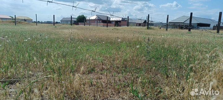 Косим траву