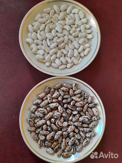 Рассада перца,томатов,семена сортовой фасоли