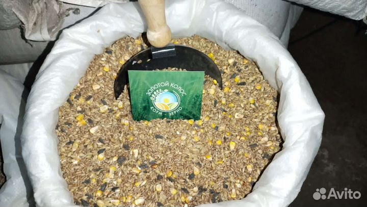 Комбикорм зерно доставка