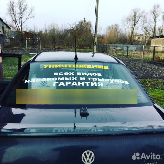 Уничтожение клещей и тараканов