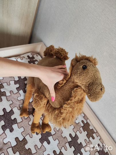 Игрушка Черепаха, Верблюд