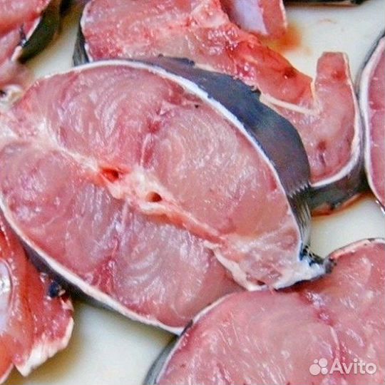 Африканский клариевый сом