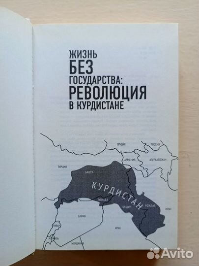 Жизнь без государства : революция в Курдистане