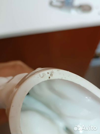 Балерина кошка, вербилки