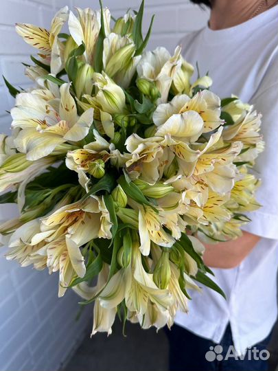 Букет из альстромерий