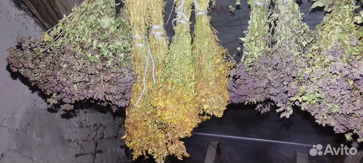 Матрёшка душица трава