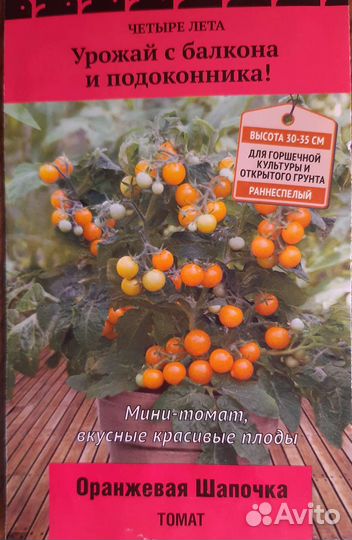 Рассада томатов помидор черри