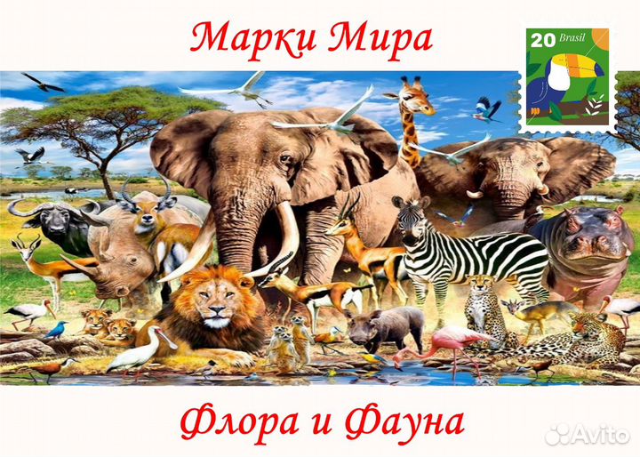 Почтовые Марки Стран Мира Флора и Фауна Животные