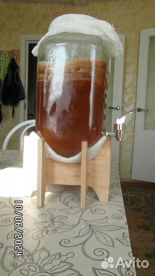 Чайный гриб комбуча