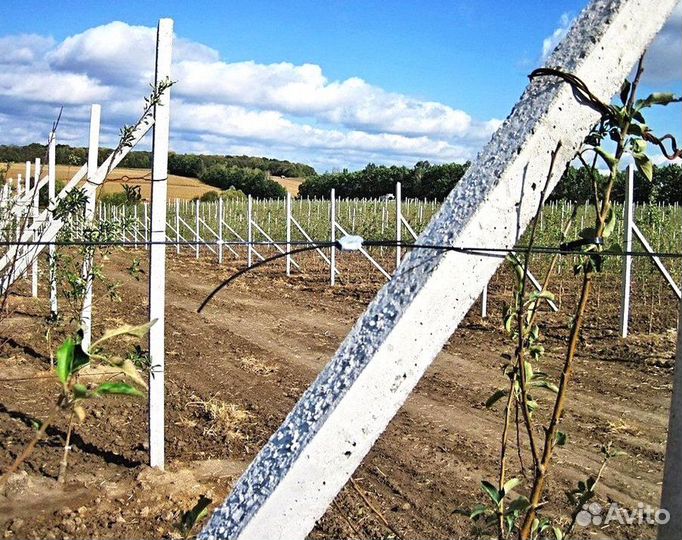 Виноградный столбик кол Приморско-Ахтарск