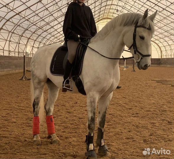 Индивидуальные занятия