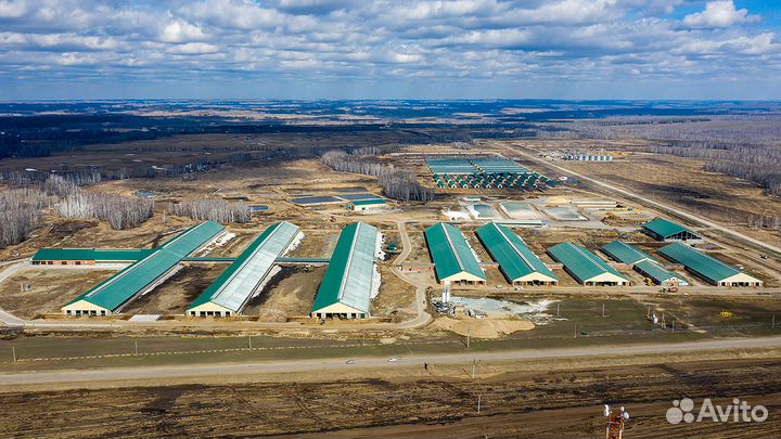 Фото/видео аэросъемка (оператор квадрокоптера)