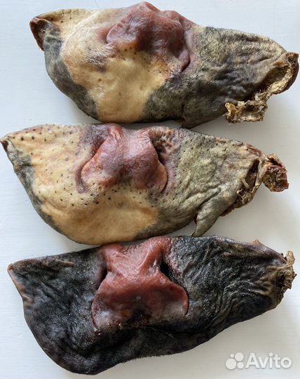 Натуральные сушеные лакомства для собак