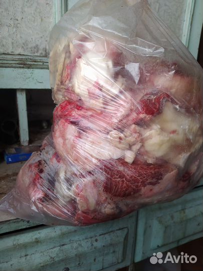 Корм для собак, для животных