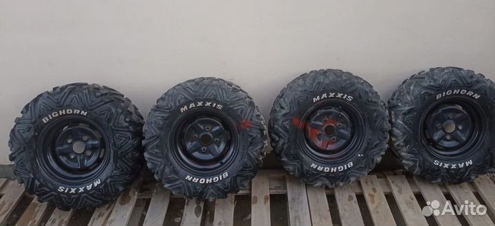 Maxxis bighorn 2.0