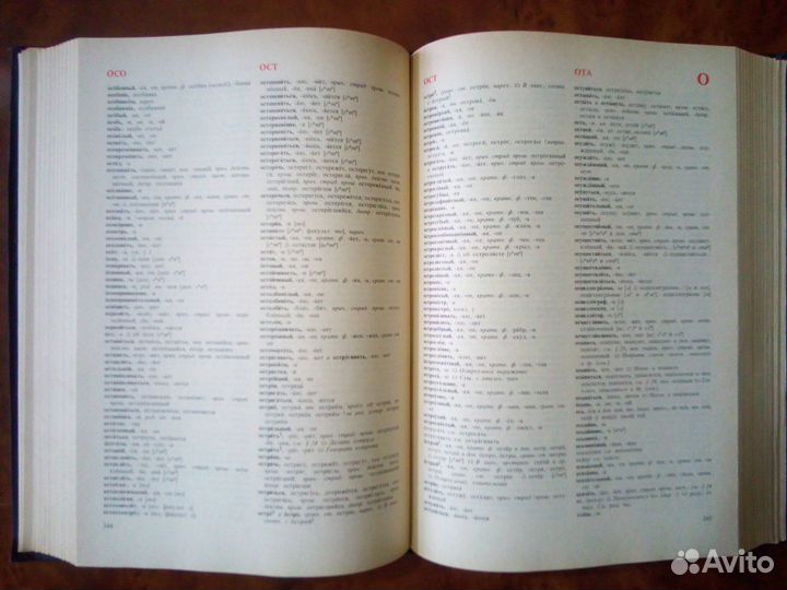 Орфоэпический словарь русского языка