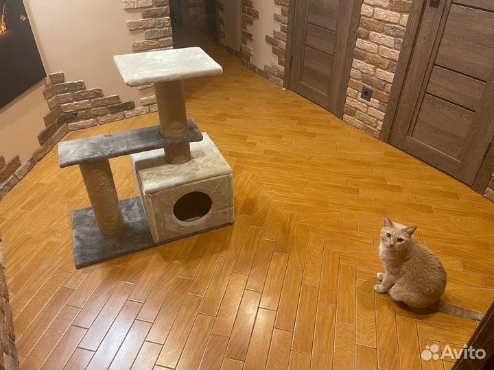 Домик для кота с когтеточкой