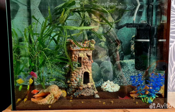Аквариум