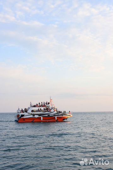 Морские прогулки на метеоре