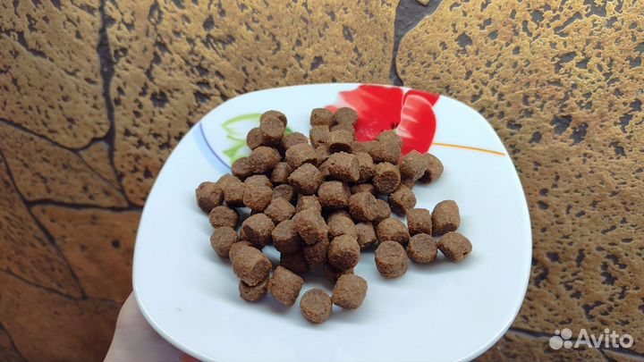 Hill's корм для собак