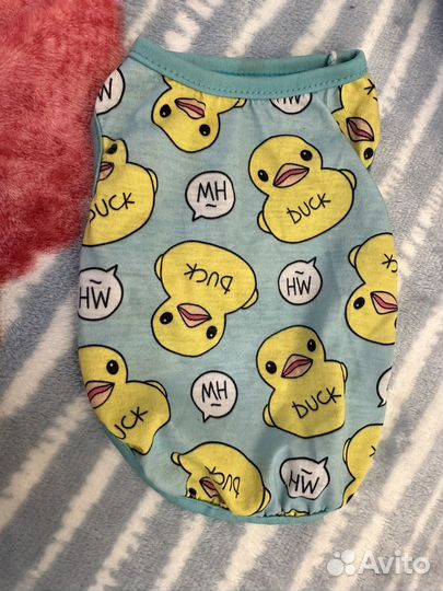 Майка для маленькой собачки