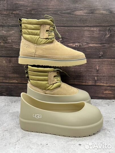 Ботинки угги UGG Classic Mini Lace-Up Weather Dune