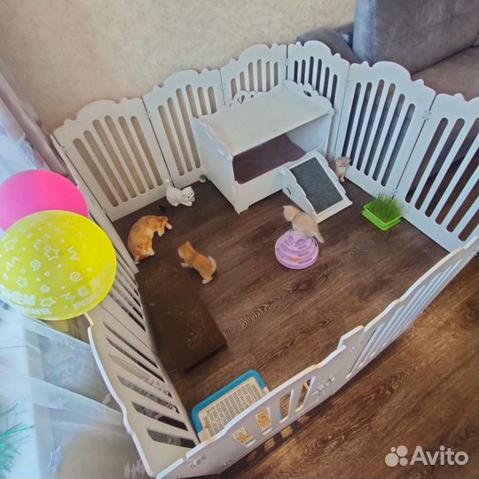 Вольер для домашних животных