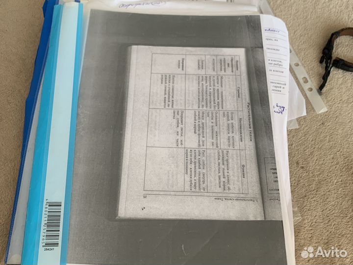 Шпаргалки егэ