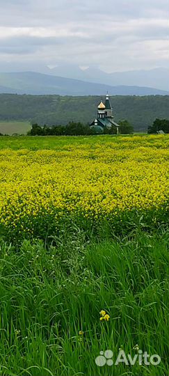Индивидуальные экскурсии