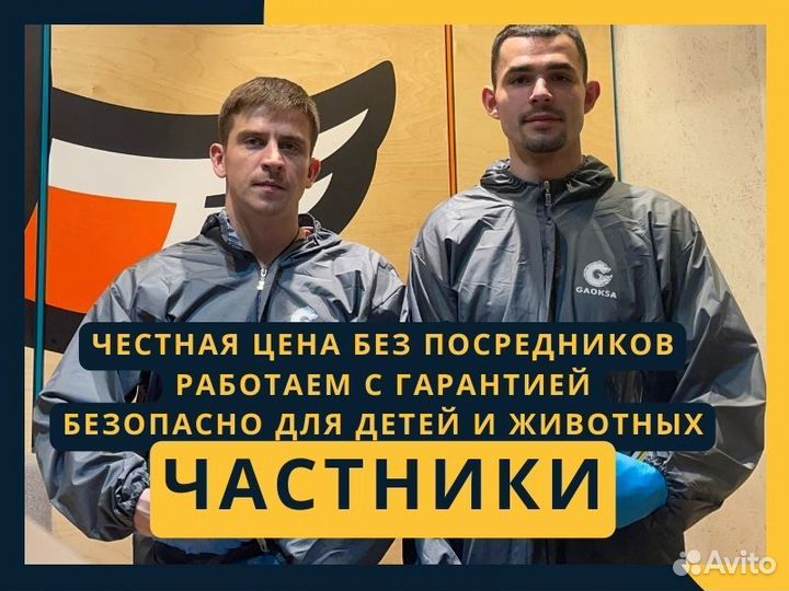 Уничтожение тараканов Уничтожения клопов