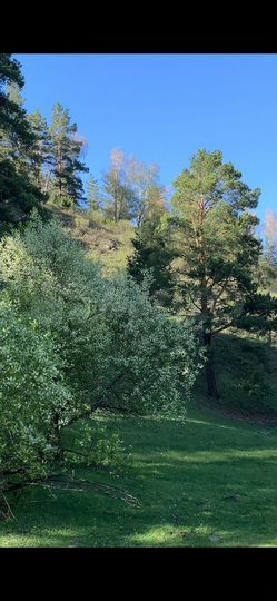 Участок 9 га (СНТ, ДНП)