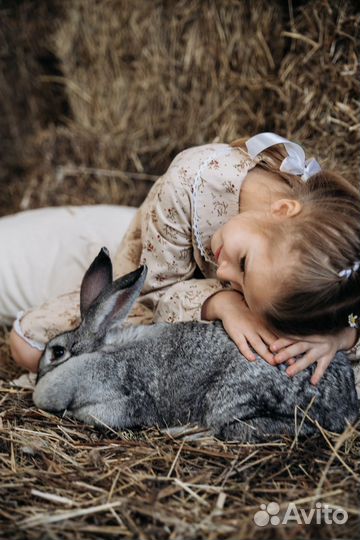 Фотостудия продажа готового бизнеса