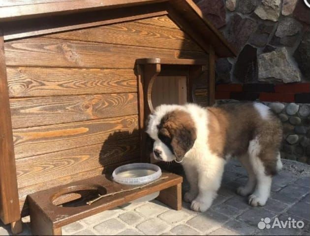 Работа с деревом